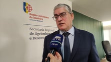 Imagem de Temporais responsáveis por quebra de 4,6% (vídeo)