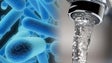 Imagem de Ordem dos Engenheiros promove workshop sobre a Legionella (áudio)