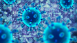 Madeira com dezenas de infeções com nova estirpe do SARS– CoV-2