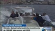 Imagem de Ministra da Agricultura admite investimento de 100 milhões de euros nas pescas até 2020