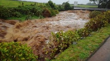 Chuva provoca inundações na Terceira (Vídeo)