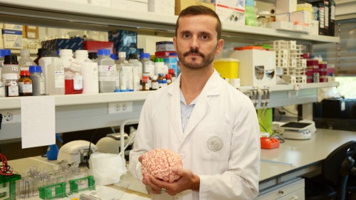 Cientista madeirense recebe 100 mil euros para investigar doenças neurodegenerativas