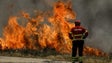 Imagem de Identificado o autor da queimada ilegal que provocou um incêndio na Fajã da Ovelha