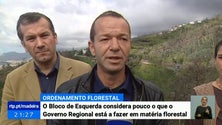 BE exige plano de ordenamento da floresta na Madeira