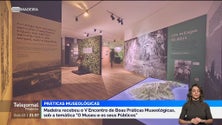 Associação Portuguesa de Museus defende mais recursos humanos (vídeo)