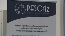 Região afina processo para a sustentabilidade das pescas (Vídeo)