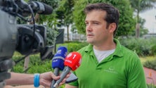 Imagem de JPP diz que o Governo disse «meia verdade» nos apoios a produção de cana sacarina (áudio)