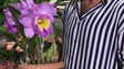 Há uma nova espécie de orquídea criada na Madeira (Áudio)