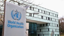 Imagem de OMS vai testar três medicamentos para doentes hospitalizados