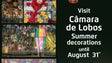 Imagem de Decorações de rua em Câmara de Lobos até final de Agosto