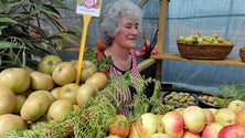 Imagem de Agricultores confirmam o aumento da produção de pêro