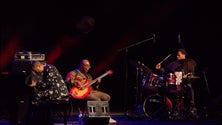 Imagem de Funchal Jazz no Parque Santa Catarina de 6 a 8 de julho (áudio)