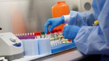 Imagem de Laboratório da Universidade dos Açores na Terceira já está equipado (Som)