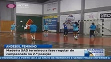 Imagem de O Madeira SAD terminou a fase regular do campeonato na segunda posição