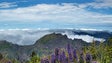 Câmara do Funchal recupera 13 Km de trilhos do Parque Ecológico