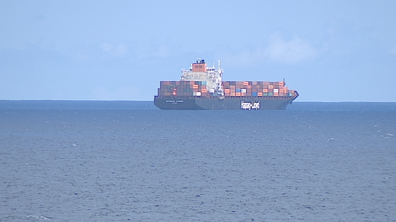 Imagem de Gigante dos mares a Sul de Santa Cruz