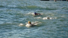 Imagem de Madeira Island International Swim Marathon começou em Câmara de Lobos com o primeiro desafio