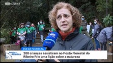 Imagem de Níveis de precipitação na Madeira estão abaixo do esperado (vídeo)
