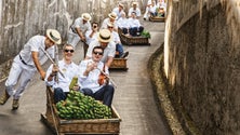 Jantar de chefs premiados no Mercado dos Lavradores