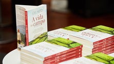 Imagem de Joel Neto vence prémio nacional de literatura (Vídeo)