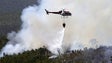 Madeira vai ter helicóptero alugado de combate aos incêndios em 2018