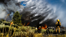 Imagem de Incêndios: Governo decreta situação de alerta entre domingo e terça-feira