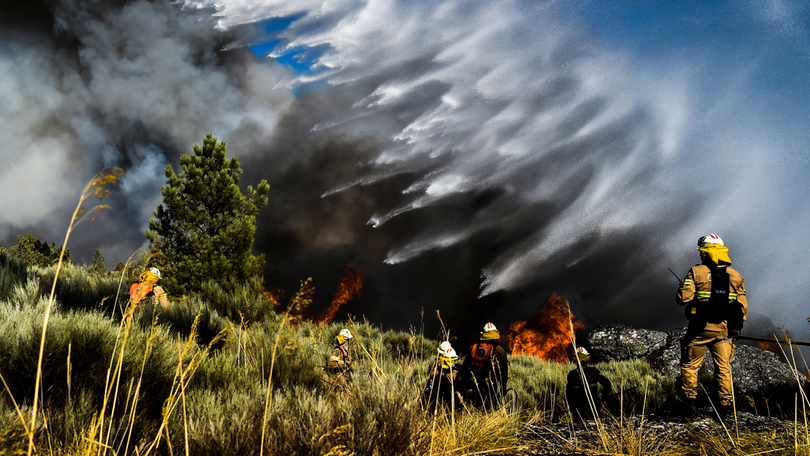 Imagem de Incêndios: Governo decreta situação de alerta entre domingo e terça-feira
