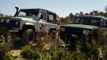 Imagem de Estacionamento abusivo nas dunas do Porto Santo