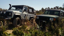 Estacionamento abusivo nas dunas do Porto Santo