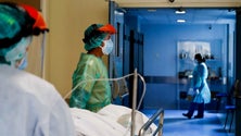 Imagem de 15 enfermeiros pediram para emigrar (áudio)