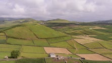 Imagem de São Jorge e Pico com carência de abastecimento de água (Vídeo)