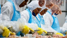 Imagem de Covid-19: OMS afirma que comida não é fonte de contágio apesar de amostras encontradas em frango