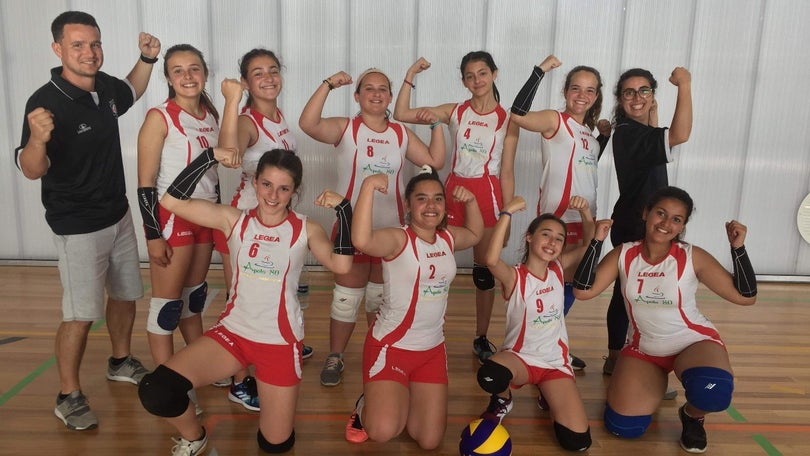 Sementes do voleibol