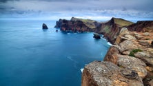 Imagem de Madeira é o destino convidado da BTL 2017