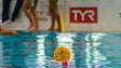 Imagem de Europeu de polo aquático: Aumentar a modalidade na Madeira é um dos objetivos