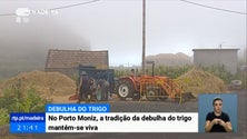 Imagem de Porto Moniz mantém viva a tradição da debulha do trigo (Vídeo)
