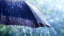 Imagem de Vento, chuva e frio com avisos para o mar e para terra