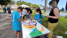 Imagem de Criarte leva alunos a pintar ao ar livre (áudio)