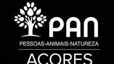 PAN quer eleger deputado para Assembleia Legislativa dos Açores (Vídeo)