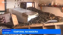 Imagem de População recupera as suas casas