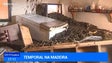 Imagem de População recupera as suas casas