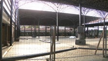 Imagem de Obras no Mercado da Graça estão paradas