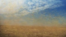Imagem de Poeiras do Deserto do Sáara atravessam o Atlântico