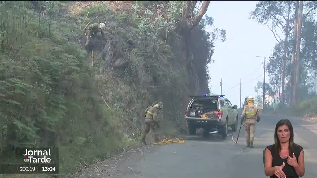 Cinco dias de fogo na Madeira queimaram quase tanta área como em 2023