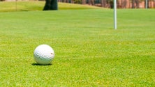 Imagem de Campo de golfe na Ponta do Pargo deverá mesmo avançar (Vídeo)