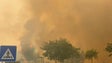 Imagem de Incêndio na Fajã da Ovelha está descontrolado (vídeo)