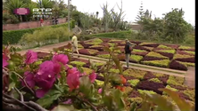 Imagem de Festa da flor arranca hoje na Madeira