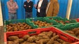 Sete variedades de batata doce já têm certificação de origem (áudio)