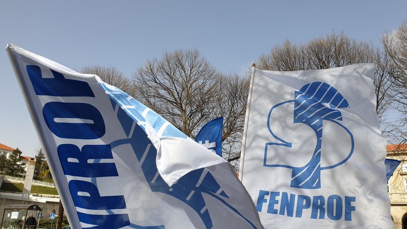 Fenprof acusa Governo de discriminação e exige aumentos iguais aos dos técnicos superiores