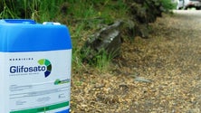 Imagem de Análises apontam contaminação generalizada por glifosato em Portugal